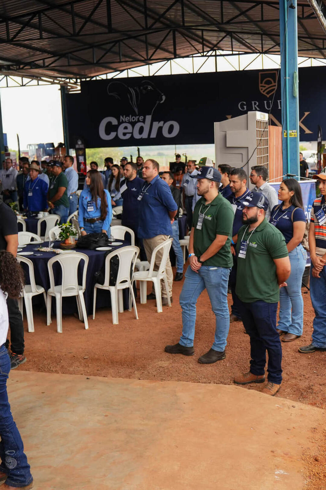 networking-executivos-palmas-to